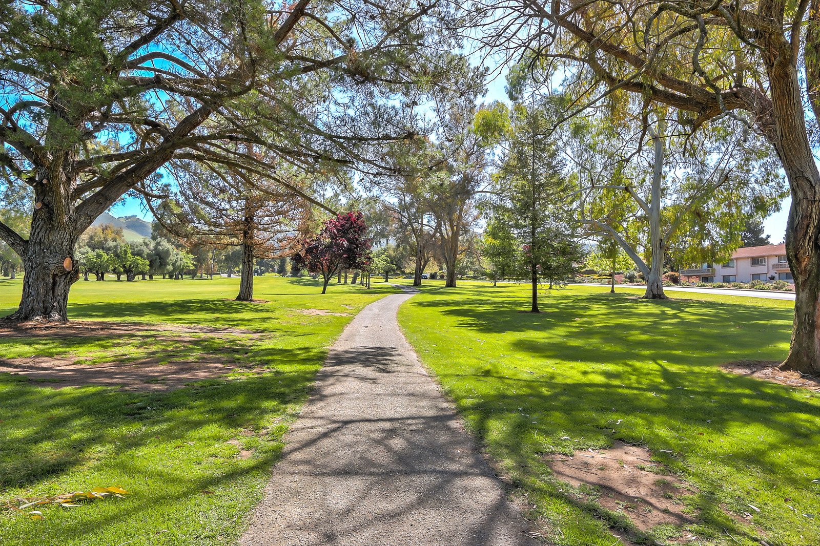 65_f8_9049_Village_View_04282018_066_mls