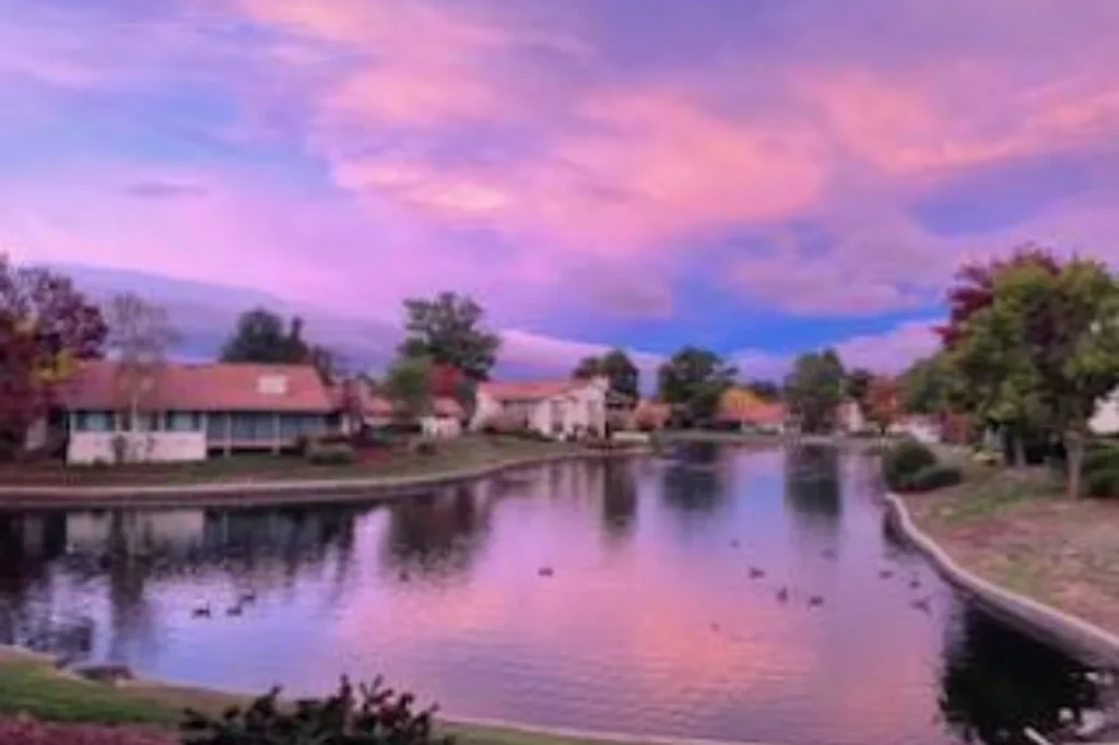 8411 Chenin Blanc LN (2)