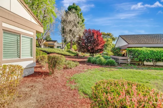 Client Success Stories: Real Experiences, Real Results